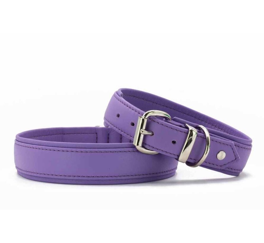 Dog Collar Classic Soft Holi Lilca