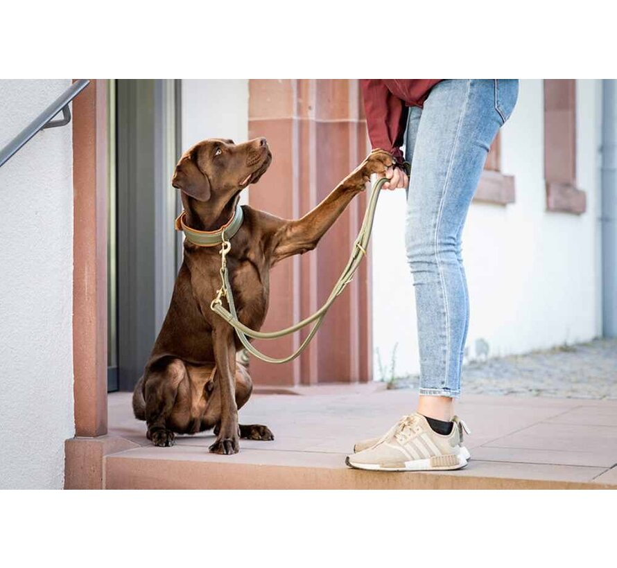 Hondenhalsband Klassiek Khaki