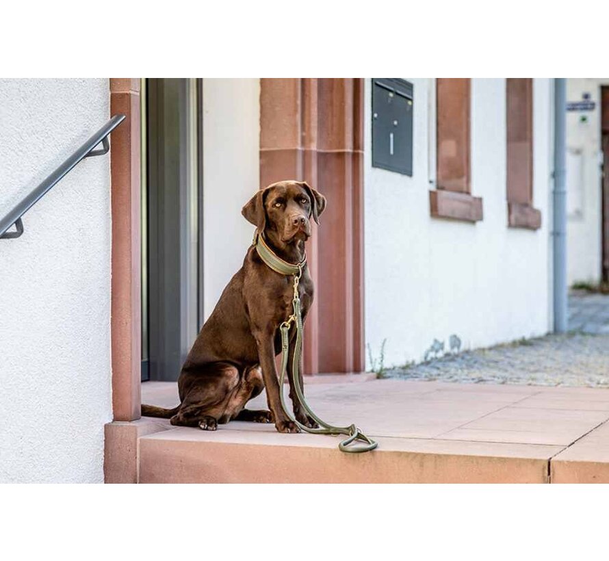 Hondenhalsband Klassiek Khaki