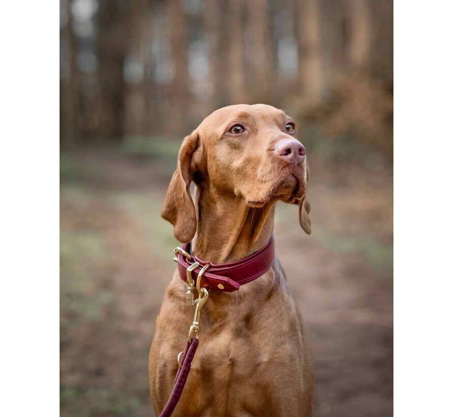 Dog Collar Classic Soft Bordeaux