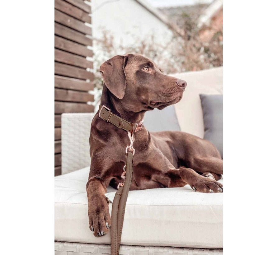 Dog Collar Click Closure Taupe