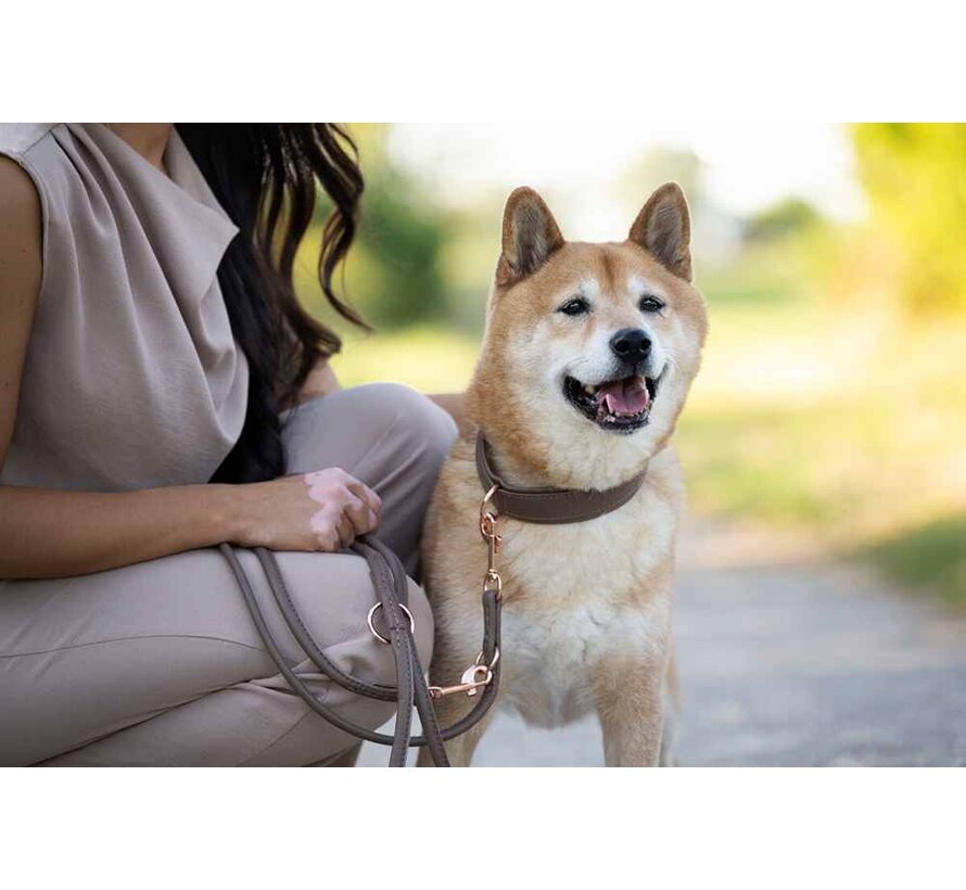 Dog Collar Taupe / Rose