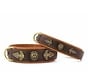 Dog Collar Lion Brown