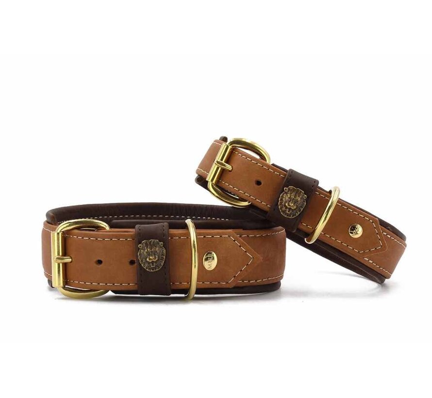 Dog Collar Safari