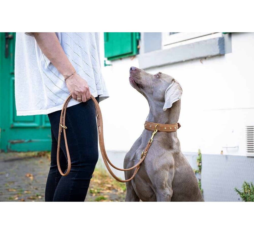 Rhinestone Dog Collar Old English Brandy