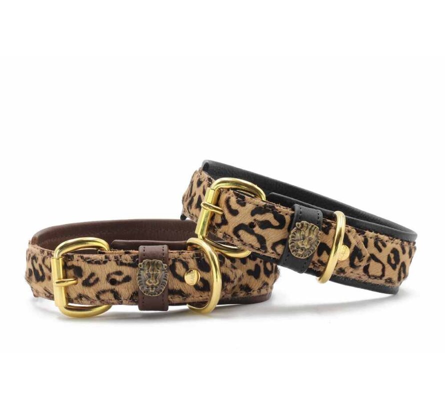 Hondenhalsband Afrika