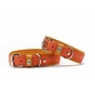Dog Collar Spring Break Mandarine