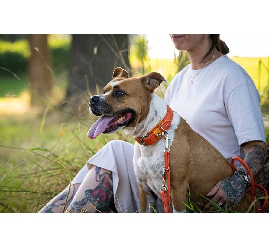 Hondenhalsband Spring Break Mandarine