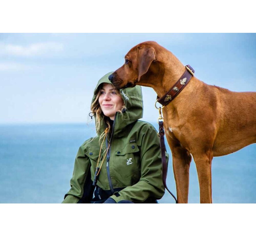 Dog Collar Kairo Brown Gold