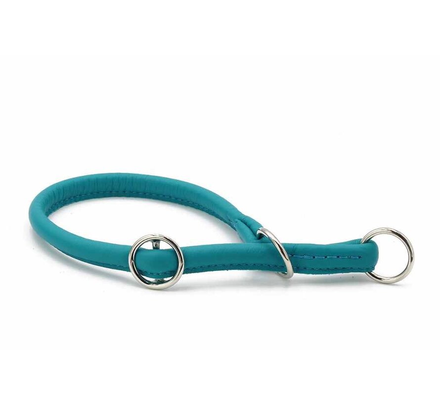 Retriever Dog Collar Holi Turquoise