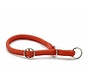 Retriever Dog Collar Holi Mandarine