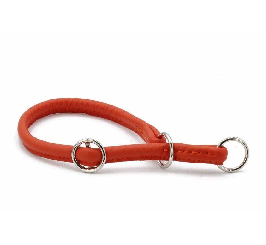 Retriever Dog Collar Holi Mandarine