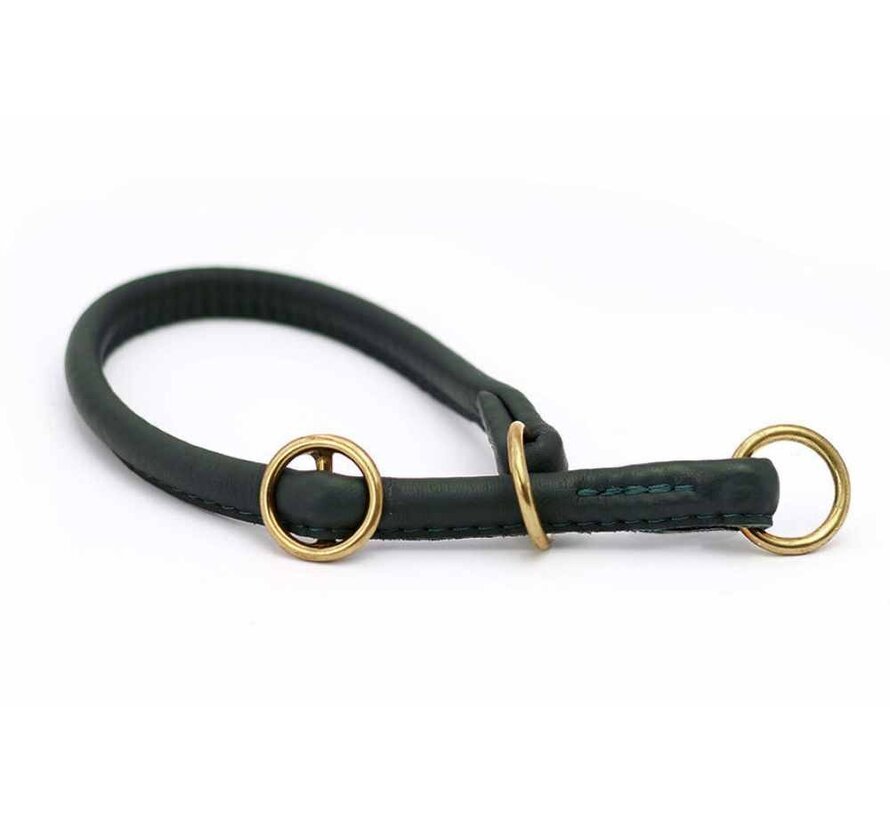 Retrieverhalsband voor de hond Groen / Goud