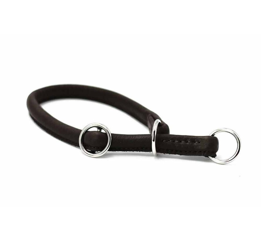 Retrieverhalsband voor de hond Zwart / Zilver