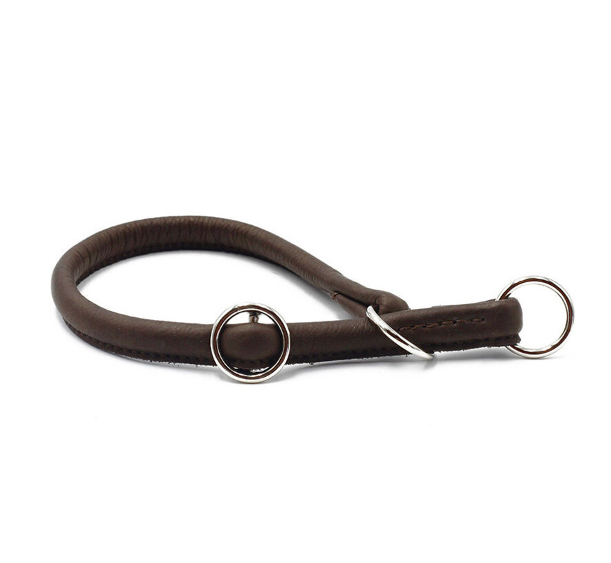 Dog Training Collar Dark Brown / Silver