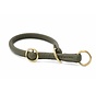 Training Halsband Hond Khaki / Goud