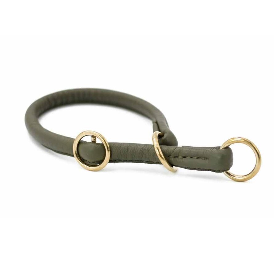 Retrieverhalsband voor de hond Khaki / Goud