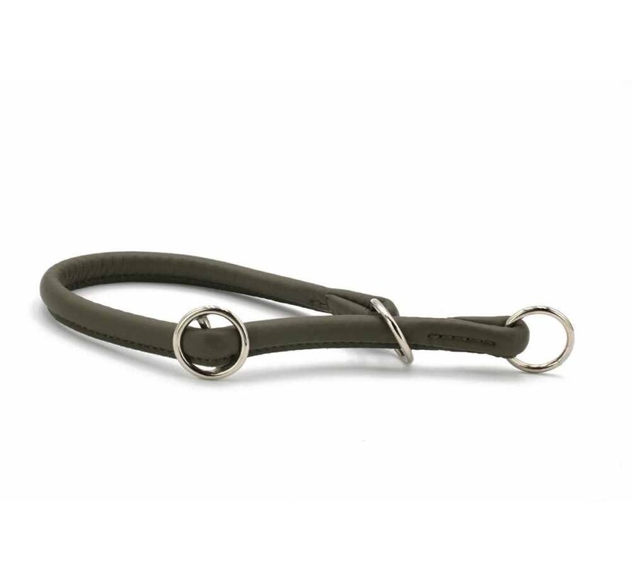 Retrieverhalsband voor de hond Khaki / Zilver