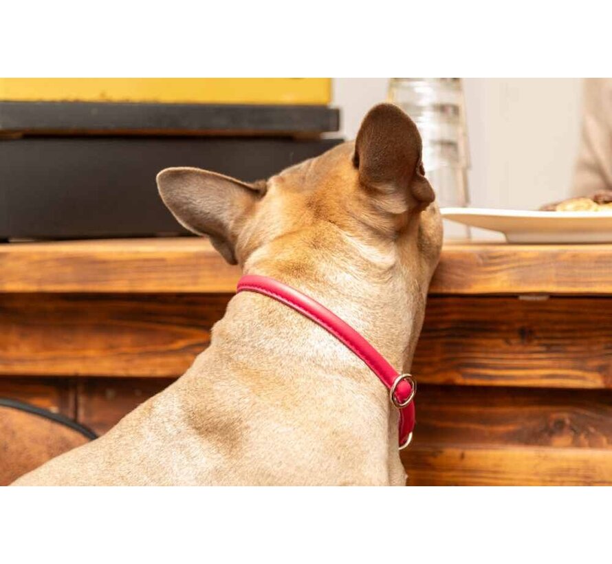 Retrieverhalsband voor de hond Lipstick / Zilver