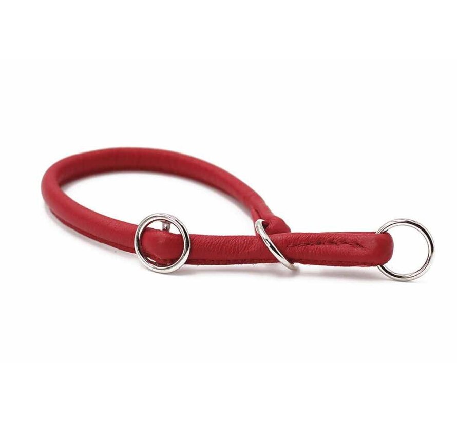 Dog Retriever Collar Red / Silver