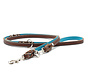 Dog Leash Classic Premium Mocha Petrol Silver