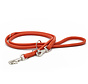 Dog Leash Holi Mandarine