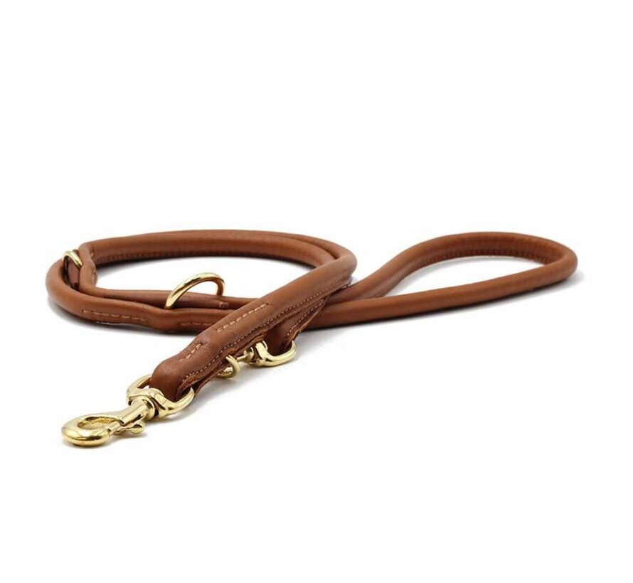 Hondenriem Cognac Goud