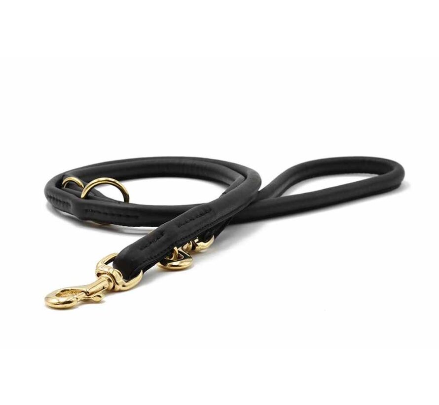 Hondenriem Zwart Goud