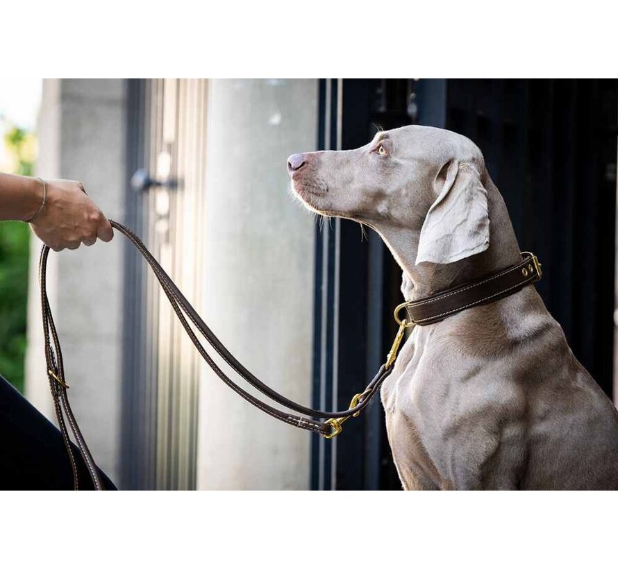 Dog Leash Old English Brown