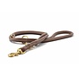 Dog Leash Taupe Gold