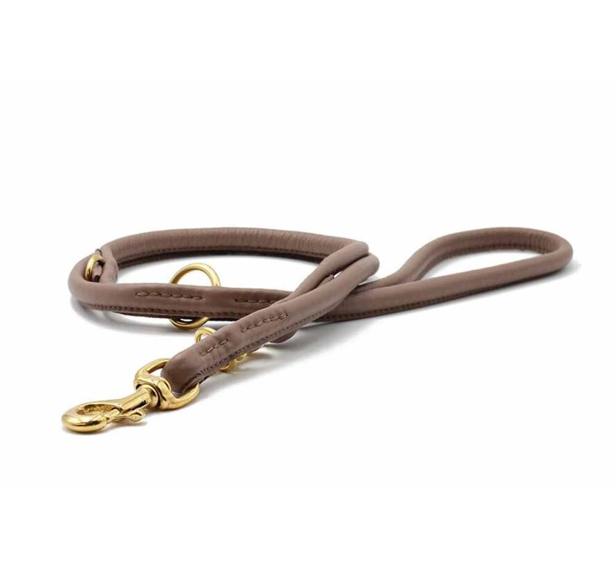 Dog Leash Taupe Gold