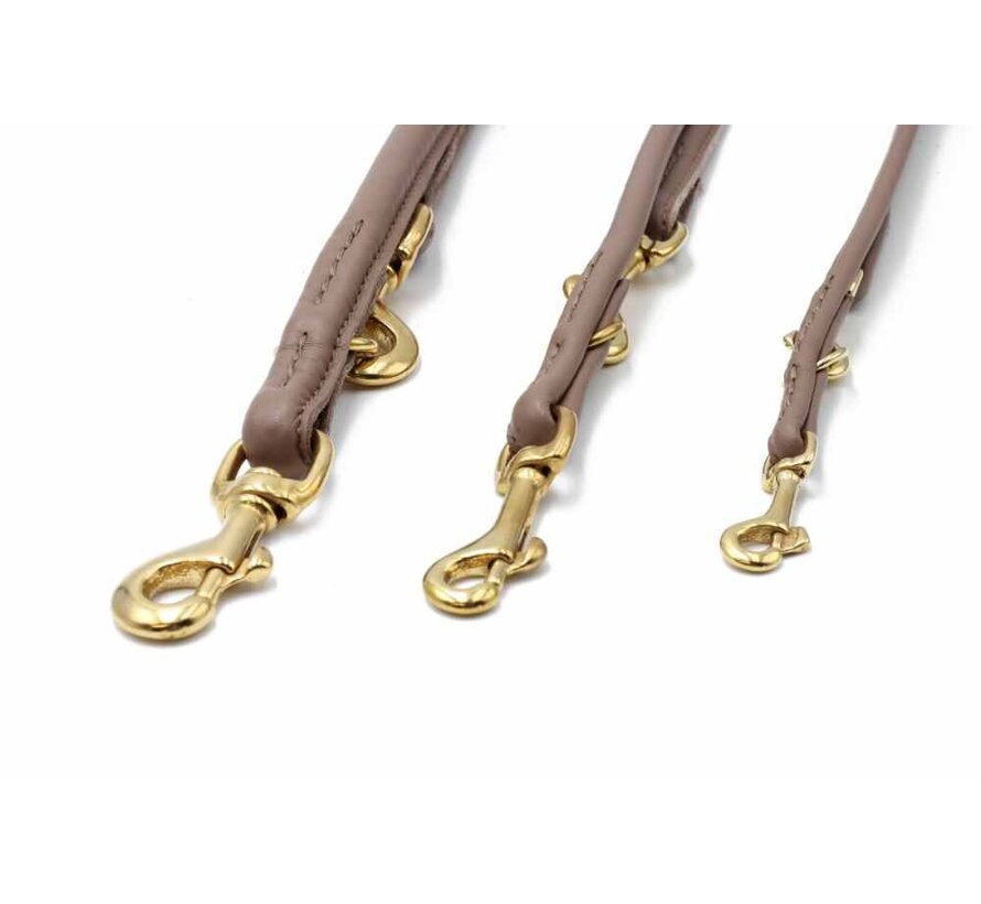 Dog Leash Taupe Gold