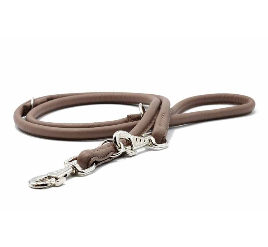 Hondenriem Taupe Zilver