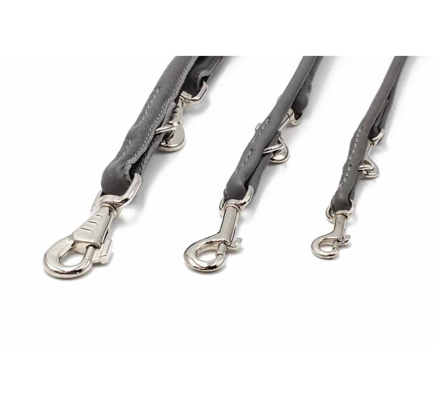 Dog Leash Grey Silver