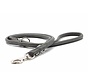 Dog Leash Grey Silver
