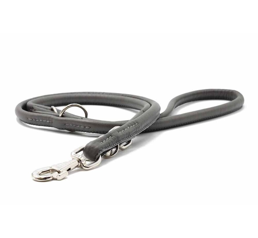 Dog Leash Grey Silver