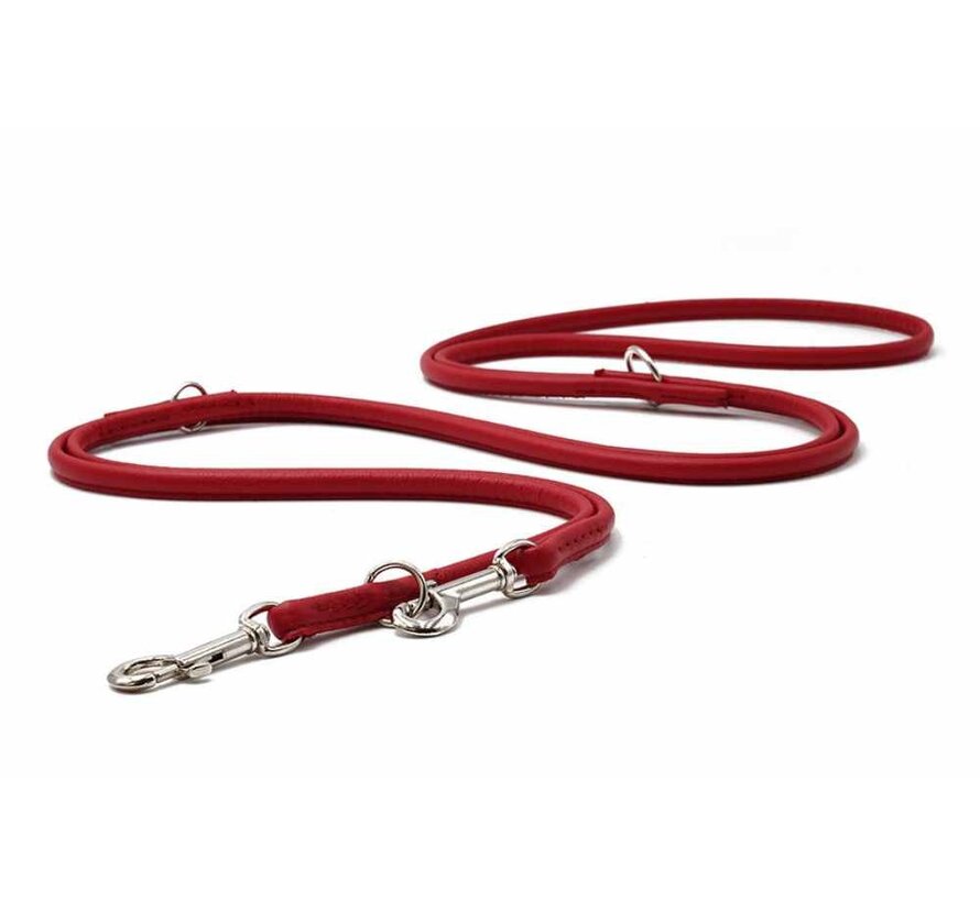 Hondenriem Rood Zilver