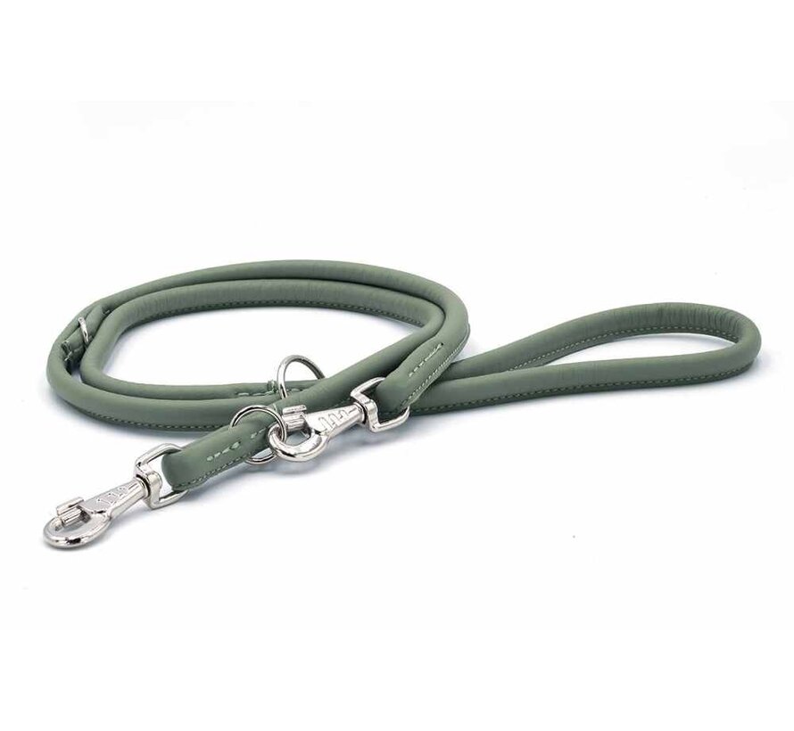 Dog Leash Olive Silver