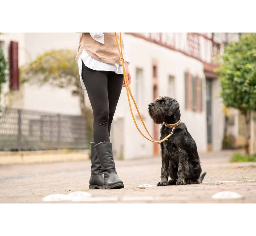 Dog Leash Sand Gold