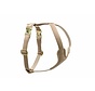 Dog Harness Ivory Gold
