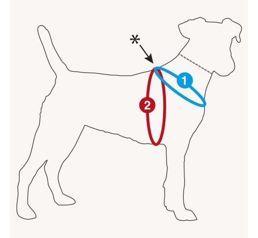 Dog Harness Clasp Cord Brown