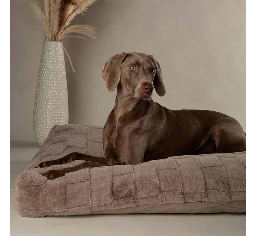 Orthopedic Dog Cushion Oxford Silver