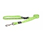 Hondenriem Alpinist Lime