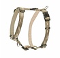 Dog Harness Alpinist Gold