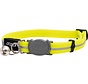 Kattenhalsband AlleyCat Dayglo