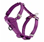 Reinforced Dog Harness for the car Purple