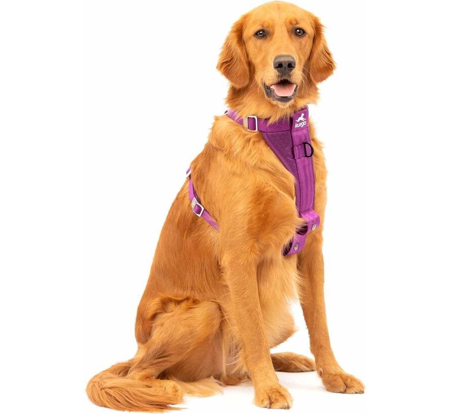 Reinforced Dog Harness for the car Purple