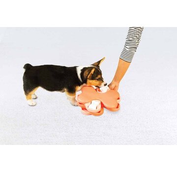 Nina Ottosson Dog Puzzle Puppy Tornado