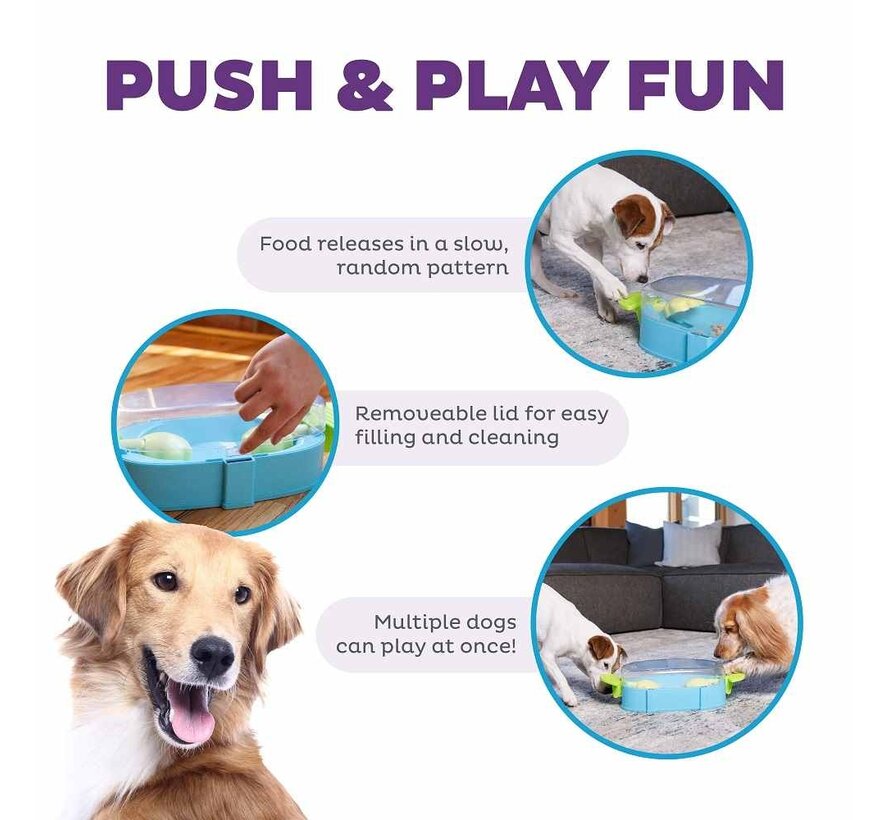 Dog Puzzle Paw N' Play