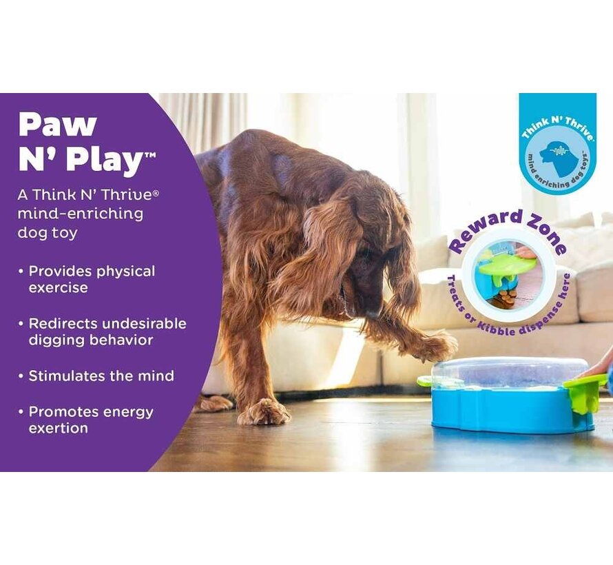 Dog Puzzle Paw N' Play
